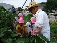 H29 カレー交流会 (16).jpg